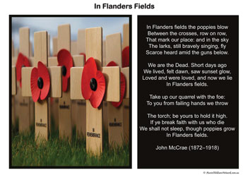 Flanders Fields Poem