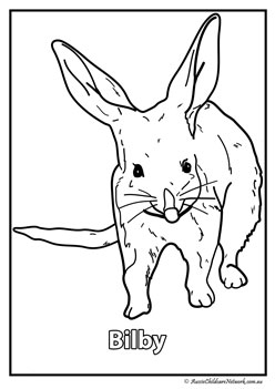 bilby australian animal colouring pages colouring worksheets