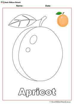 apricot fruit colouring pages worksheets for children 