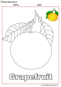 grapefruit fruit colouring pages worksheets for children