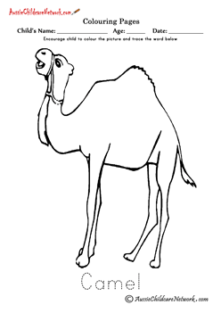 coloring page colouring camel