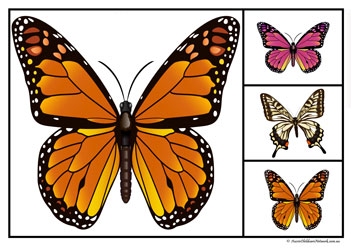 Butterfly Matching Clipcards Set10