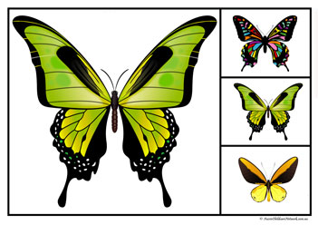 Butterfly Matching Clipcards Set9