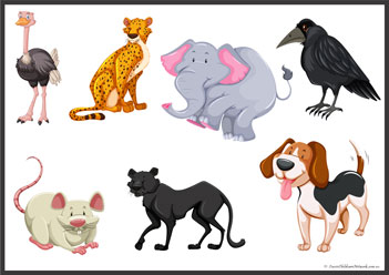 Animal Shadow Matching 11, animal puzzles
