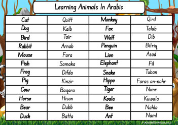 Animals In Different Languages Arabic