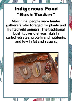 Indigenous Bush Tucker, aboriginal food posters, aboriginal bush tucker poster display