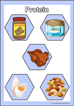 Food Group Poster Protein