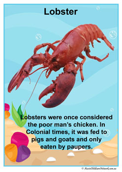 Facts Posters Lobster