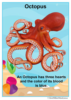 Facts Posters Octopus