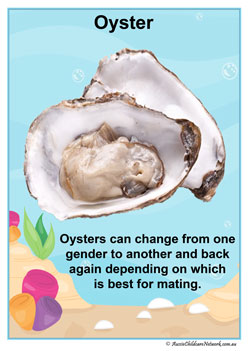 Facts Posters Oyster