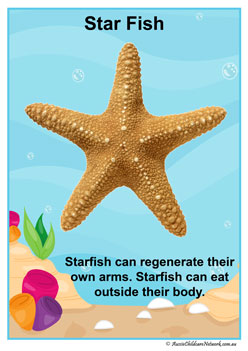 Facts Posters Starfish