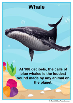 Facts Posters Whale