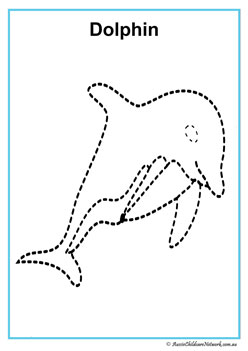 Ocean Tracing Dolphin