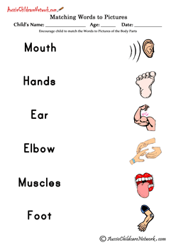 match words to pictures printable worksheets Body Parts