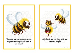 Bees Fact Posters