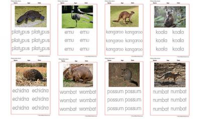 Tracing Names Of Australian Animals