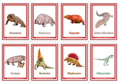 Dinosaur Flashcards - Aussie Childcare Network