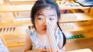 Half of Children No Longer Read for Fun, Sparking Urgent Action