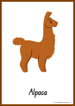 Animals Alphabet Poster A