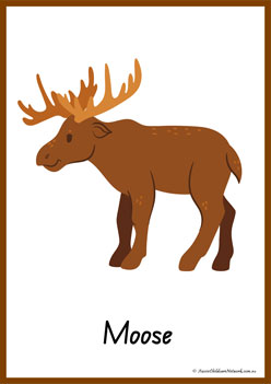 Animals Alphabet Poster M