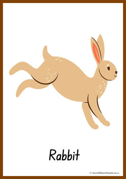 Animals Alphabet Poster R