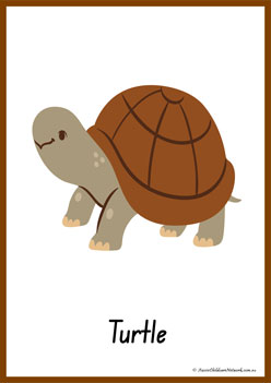 Animals Alphabet Poster T