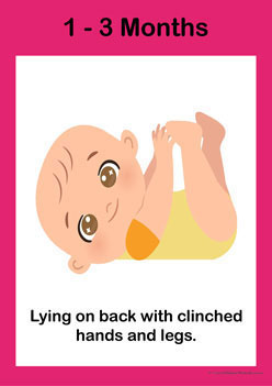 Baby Growth 1, baby growth display posters