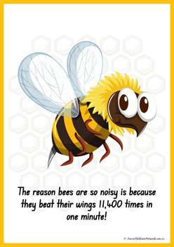 Facts About Bees 1