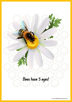 Facts About Bees 10