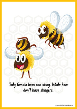 Facts About Bees 2