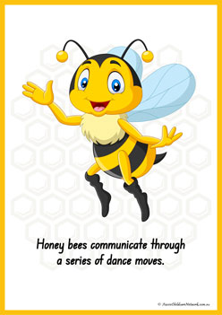 Facts About Bees 3