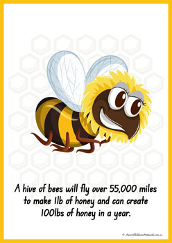 Facts About Bees 4