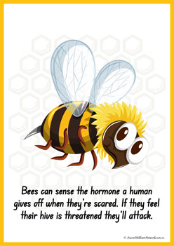 Facts About Bees 5