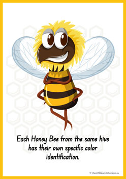 Facts About Bees 7