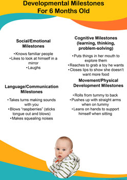 Developmental Milestones Posters 3, 6 months old developmental milestones