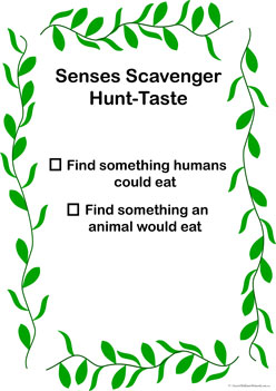 Nature Senses Scavenger Hunt Taste, senses worksheet, outdoor scavenger hunt, scavenger hunt list, nature scavenger hunt