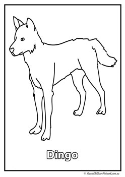 dingo australian animal colouring pages colouring worksheets