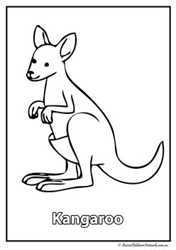kangaroo australian animal colouring pages colouring worksheets