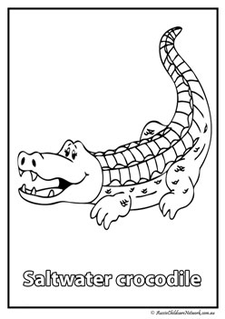 salt water crocodile australian animal colouring pages colouring worksheets