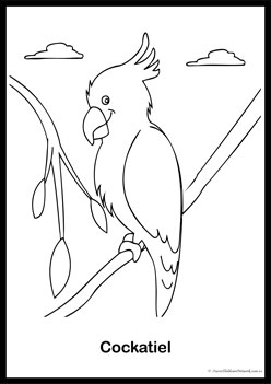 Bird Colouring Pages 1