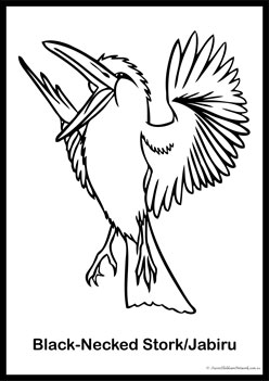 Bird Colouring Pages 2