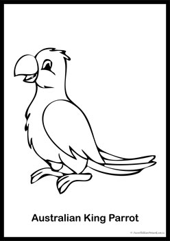 Bird Colouring Pages 4