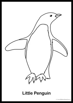 Bird Colouring Pages 5