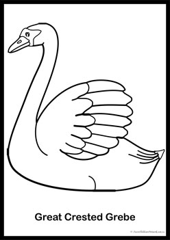 Bird Colouring Pages 6
