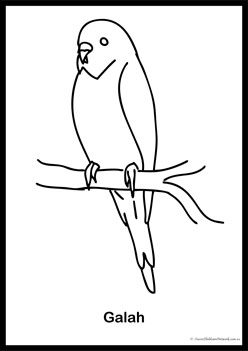 Bird Colouring Pages 8