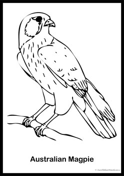 Bird Colouring Pages 9