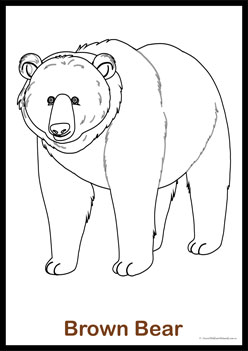 Brown Bear Colouring 1, brown bear colouring pages, brown bear colouring worksheets for children