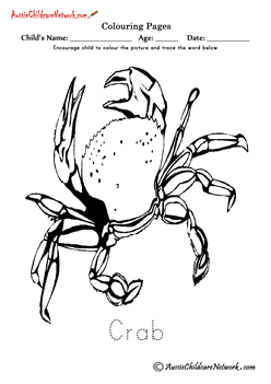 ocean animals coloring pages coloring Crab