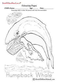 sea animals coloring pages coloring Humpback Whale