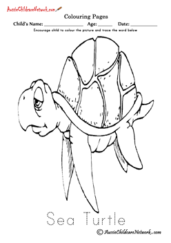sea life coloring pages colouring Sea Turtle